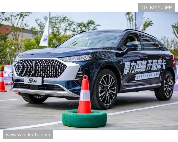 深入了解凯时Z6官网,带你体验前所未有的游戏乐趣